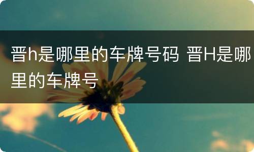 晋h是哪里的车牌号码 晋H是哪里的车牌号