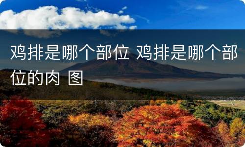 鸡排是哪个部位 鸡排是哪个部位的肉 图