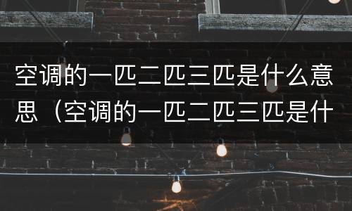 空调的一匹二匹三匹是什么意思（空调的一匹二匹三匹是什么意思啊）