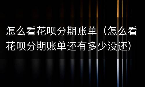 怎么看花呗分期账单（怎么看花呗分期账单还有多少没还）
