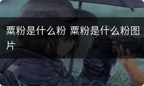 粟粉是什么粉 粟粉是什么粉图片