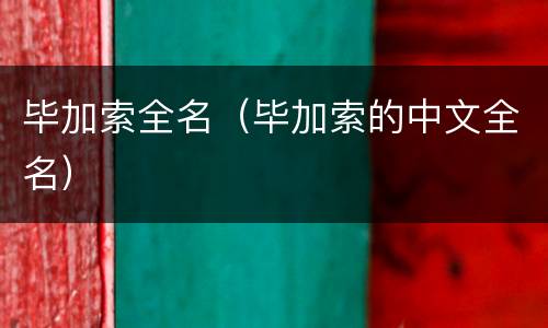 毕加索全名（毕加索的中文全名）