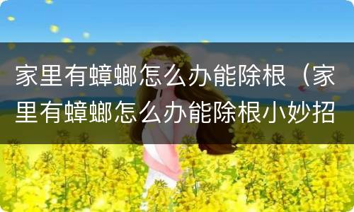 家里有蟑螂怎么办能除根（家里有蟑螂怎么办能除根小妙招）