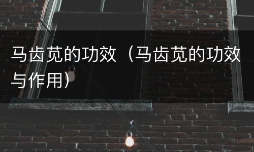 马齿苋的功效（马齿苋的功效与作用）