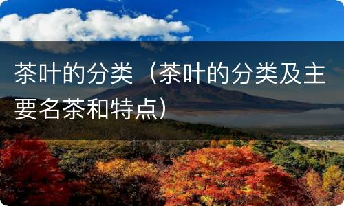 茶叶的分类（茶叶的分类及主要名茶和特点）