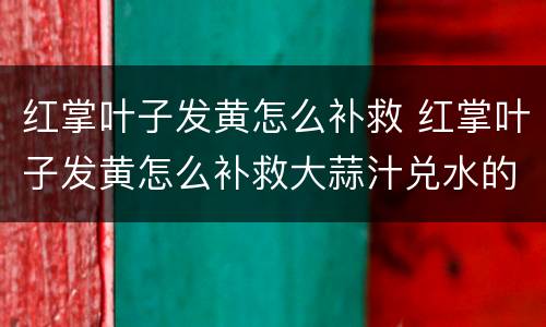 红掌叶子发黄怎么补救 红掌叶子发黄怎么补救大蒜汁兑水的比例是多少?