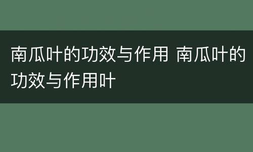 南瓜叶的功效与作用 南瓜叶的功效与作用叶