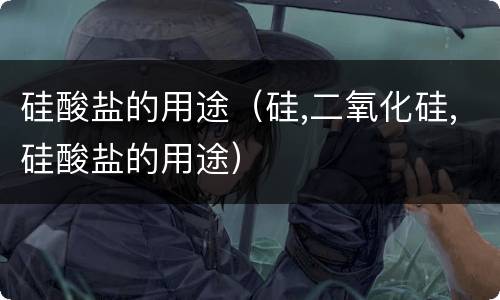 硅酸盐的用途（硅,二氧化硅,硅酸盐的用途）