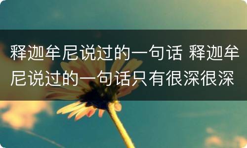 释迦牟尼说过的一句话 释迦牟尼说过的一句话只有很深很深的缘