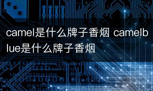 camel是什么牌子香烟 camelblue是什么牌子香烟