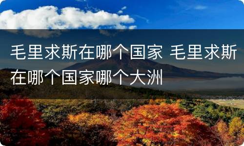 毛里求斯在哪个国家 毛里求斯在哪个国家哪个大洲