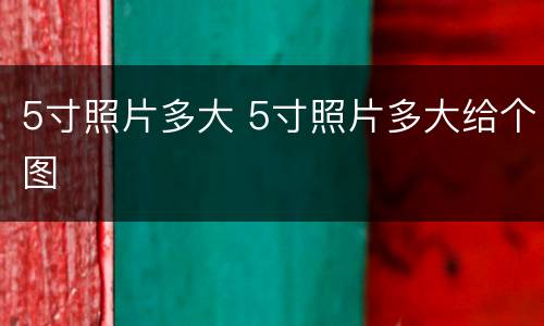5寸照片多大 5寸照片多大给个图