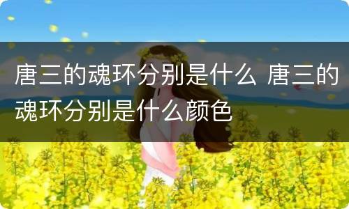 唐三的魂环分别是什么 唐三的魂环分别是什么颜色