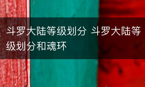 斗罗大陆等级划分 斗罗大陆等级划分和魂环