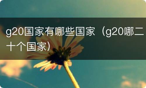 g20国家有哪些国家（g20哪二十个国家）