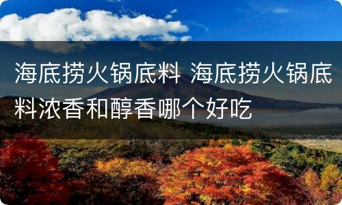 海底捞火锅底料 海底捞火锅底料浓香和醇香哪个好吃
