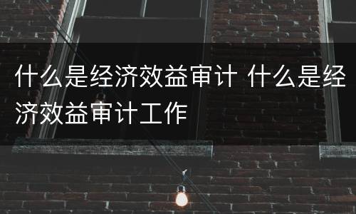 什么是经济效益审计 什么是经济效益审计工作