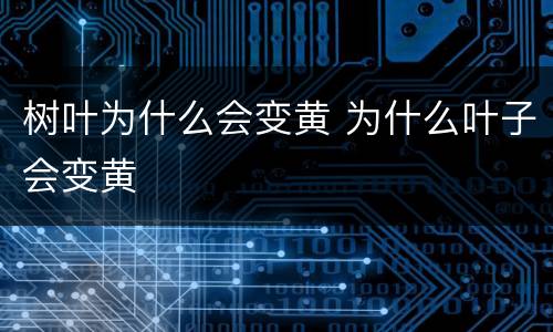 树叶为什么会变黄 为什么叶子会变黄