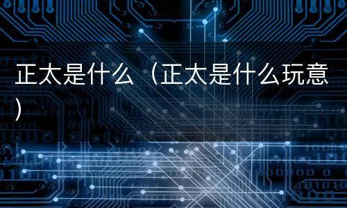 正太是什么（正太是什么玩意）