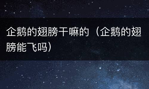企鹅的翅膀干嘛的（企鹅的翅膀能飞吗）