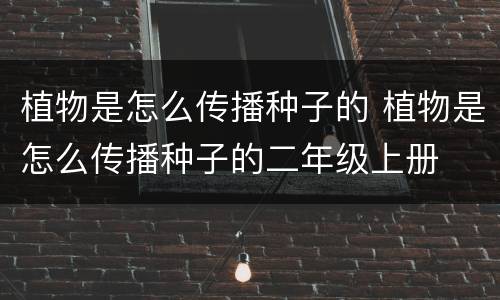植物是怎么传播种子的 植物是怎么传播种子的二年级上册