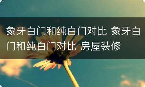 象牙白门和纯白门对比 象牙白门和纯白门对比 房屋装修
