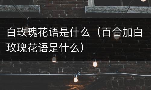 白玫瑰花语是什么（百合加白玫瑰花语是什么）