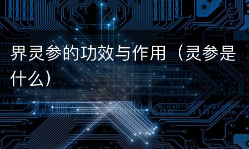 界灵参的功效与作用（灵参是什么）