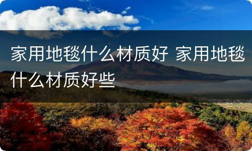 家用地毯什么材质好 家用地毯什么材质好些