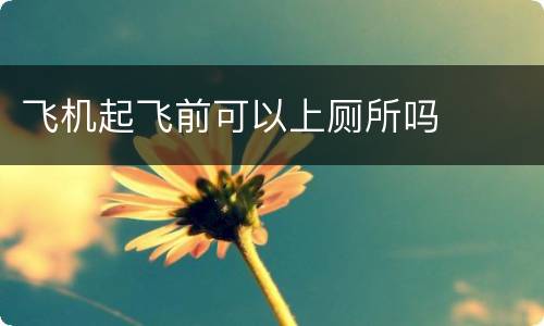 飞机起飞前可以上厕所吗