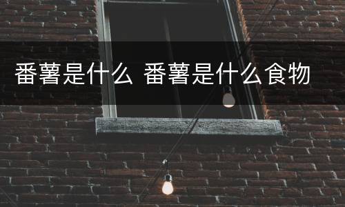 番薯是什么 番薯是什么食物