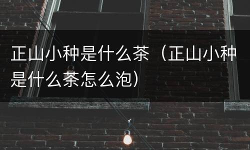 正山小种是什么茶（正山小种是什么茶怎么泡）