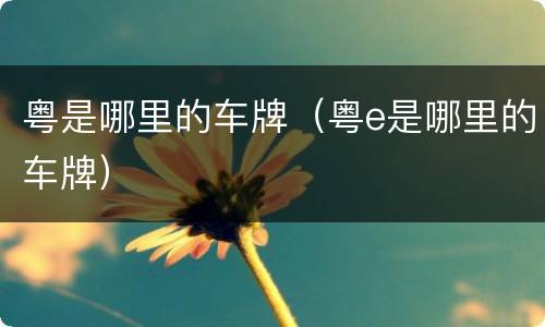 粤是哪里的车牌（粤e是哪里的车牌）