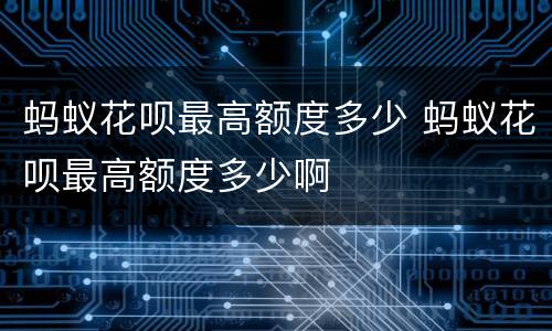 蚂蚁花呗最高额度多少 蚂蚁花呗最高额度多少啊