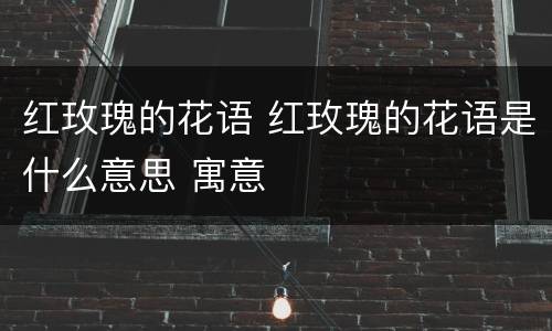 红玫瑰的花语 红玫瑰的花语是什么意思 寓意