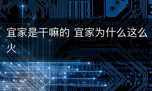 宜家是干嘛的 宜家为什么这么火