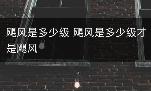 飓风是多少级 飓风是多少级才是飓风