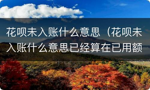 花呗未入账什么意思（花呗未入账什么意思已经算在已用额度里了吗）