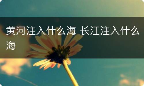 黄河注入什么海 长江注入什么海