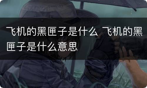 飞机的黑匣子是什么 飞机的黑匣子是什么意思