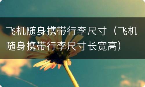 飞机随身携带行李尺寸（飞机随身携带行李尺寸长宽高）