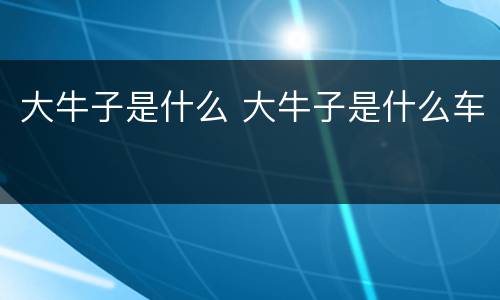 大牛子是什么 大牛子是什么车