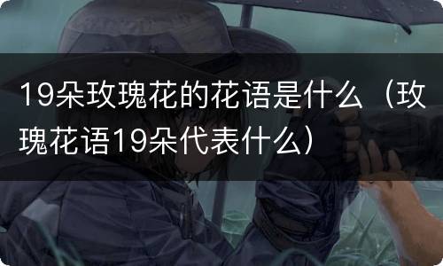 19朵玫瑰花的花语是什么（玫瑰花语19朵代表什么）