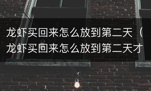 龙虾买回来怎么放到第二天（龙虾买回来怎么放到第二天才能吃）