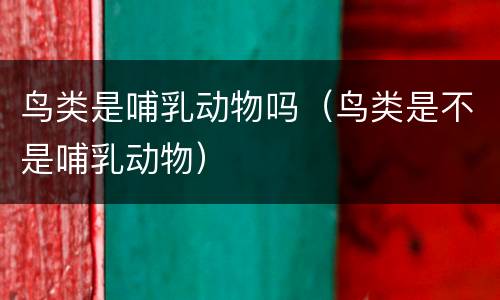 鸟类是哺乳动物吗（鸟类是不是哺乳动物）