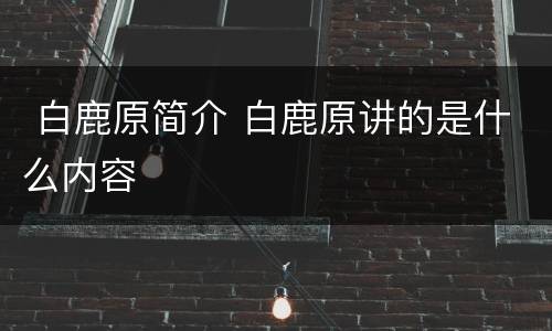  白鹿原简介 白鹿原讲的是什么内容