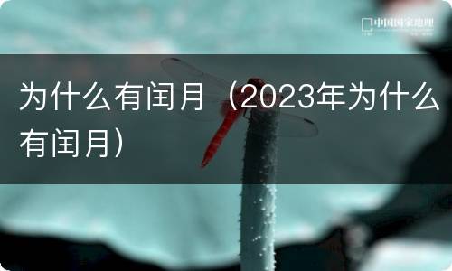 为什么有闰月（2023年为什么有闰月）