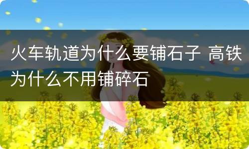 火车轨道为什么要铺石子 高铁为什么不用铺碎石