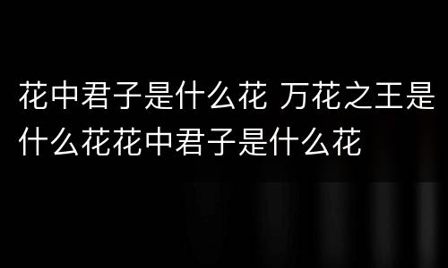 花中君子是什么花 万花之王是什么花花中君子是什么花