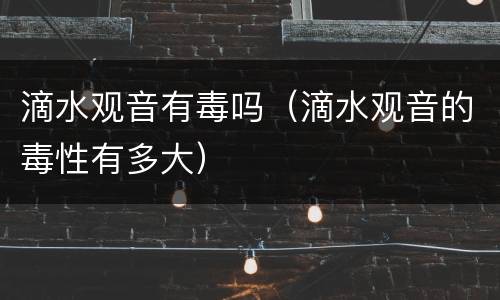 滴水观音有毒吗（滴水观音的毒性有多大）